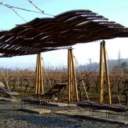 Descanso en los Viñedos – Macarena Avila – Chile