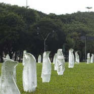 Pingüinos en Sao Paulo
