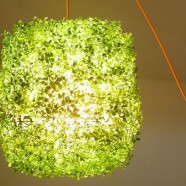 Lampara Verde – GRASS-ON –  ITLab