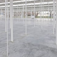 Junya Ishigami’s  – University Project Space – Tokyo