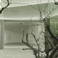 Spidernethewood  –  R&Sie(n)  –  Paris