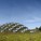 Academy of Science de California – Renzo Piano – US