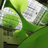 Green Void – LAVA – Australia