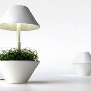 Lightpot -  Studio Shulab