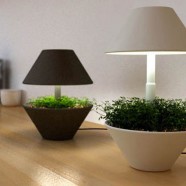 Lightpot -  Studio Shulab