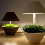 Lightpot -  Studio Shulab
