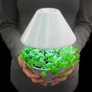 Lightpot –  Studio Shulab