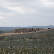 Almazara Olisur - Guillermo Hevia (GH+A) - Chile