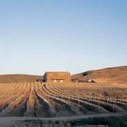 Almazara Olisur - Guillermo Hevia (GH+A) - Chile