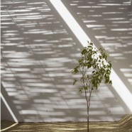 Pabellón para Meditación y Oración - Studio Tam associati - Sudan Pabellón para Meditación y Oración - Studio Tam associati - Sudan