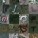 Google Earth Typography???