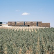 Almazara Olisur - Guillermo Hevia (GH+A) - Chile