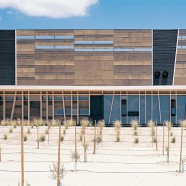 Almazara Olisur - Guillermo Hevia (GH+A) - Chile