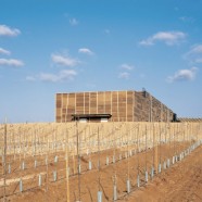 Almazara Olisur - Guillermo Hevia (GH+A) - Chile
