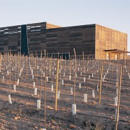 Almazara Olisur - Guillermo Hevia (GH+A) - Chile