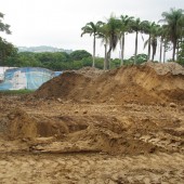 Parque del Este - Proyecto Leander - Venezuela - Franco Micucci Parque del Este - Proyecto Leander - Venezuela - Franco Micucci
