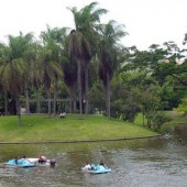 Parque del Este - Proyecto Leander - Venezuela - Franco Micucci Parque del Este - Proyecto Leander - Venezuela - Franco Micucci