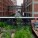 Highline NY ya Inaugurado – Diller Scofidio + de Renfro – US
