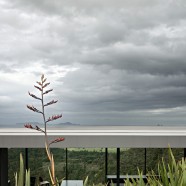 Sandy Bay Road House – Fearon Hay Architects – Nueva zelanda
