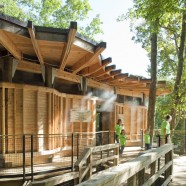 Casa de Árbol Campamento Twin Lakes – Lord, Aeck & Sargent – US