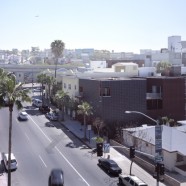 On Grape –   Sebastian Mariscal Studio – US