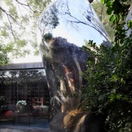Beijing Hutong Bubble – MAD – China
