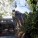 Beijing Hutong Bubble – MAD – China