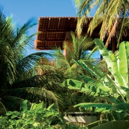 Tropical House – Camarim Architects – Brasil