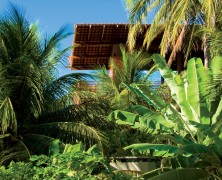 Tropical House – Camarim Architects – Brasil