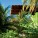 Tropical House – Camarim Architects – Brasil