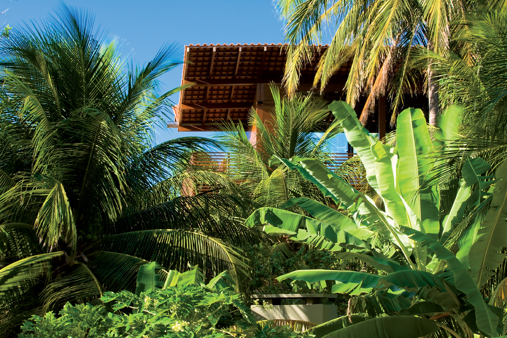 Tropical House - Camarim Architects - Brasil