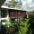 Jalan Merlimau – Aamer Architects -Singapur
