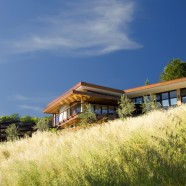 Mill Valley Hillside – McGlashan Architecture – US