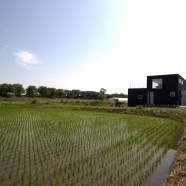 With – Studio LOOP – Japón