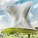 …en Construcción – Soumaya Museum – LAR – México