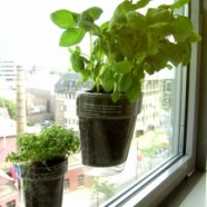 Window Herbs – Ontwerpduo – Netherlands