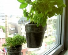 Window Herbs – Ontwerpduo – Netherlands