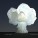 Nuke Table Lamp by Veneri Design Studio – UK