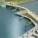 Providence River Pedestrian and Cyclist Bridge Competition Winner – inFORM Studio – US