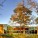 Oak Forest Library – Natalye Appel +  Architect Works + James Ray – US