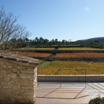 Spring in Pantone 375C, Mas Rodó Winery - SALA FERUSIC Architects - Spain