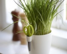Brussels Herbs – Bas van der Veer – Netherlands