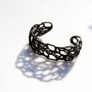 Cell Cycle Jewelry – Mathematics and Biological Architecture