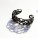 Cell Cycle Jewelry – Mathematics and Biological Architecture
