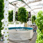Green Sky Growers: The Future of Farming