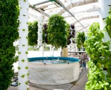 Green Sky Growers: The Future of Farming