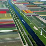 Aerial photos of tulip fields - Bruxelles5 – Netherlands