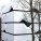 CIPEA No.4 House – AZL architects – China